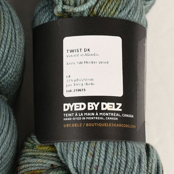 Dyed By Delz Twist DK Yarn 2 Skeins SW Merino Wool Hand-Dyed Vincent in Atlantis - Picture 3 of 3